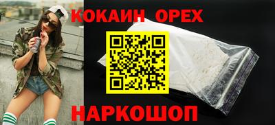 дмт Кингисепп