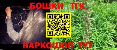 дмт Кингисепп