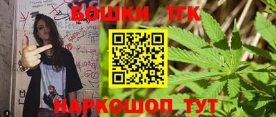 дмт Кингисепп