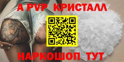 дмт Кингисепп